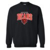 Chicago Bears Sweatshirt - Copy