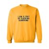 I am a ray of fucking sunshine sweatshirt ZNF08