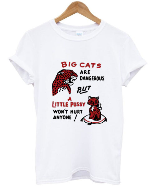 big cats and a little pussy